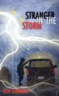 Image for Stranger in the Storm