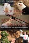 Image for Sacrificial Goats, Scapegoats &amp; Guinea Pigs
