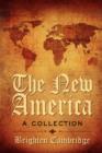 Image for The New America : A Collection