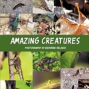 Image for Amazing Creatures