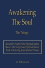 Image for Awakening the Soul