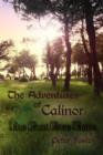 Image for The Adventures of Calinor / The Lost Pixie Tribe