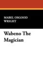 Image for Wabeno the Magician