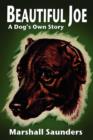 Image for Beautiful Joe : A Dog&#39;s Own Story