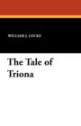 Image for The Tale of Triona