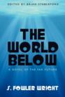 Image for The World Below : A Novel of the Far Future