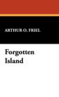 Image for Forgotten Island