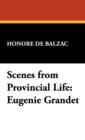 Image for Scenes from Provincial Life