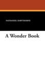 Image for A Wonder Book