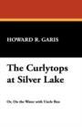Image for The Curlytops at Silver Lake
