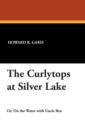 Image for The Curlytops at Silver Lake