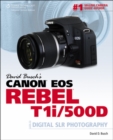 Image for David Busch&#39;s Canon EOS Rebel T1i/500D Guide to Digital SLR Photography