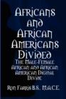 Image for Africans and African Americans Divided:the Male-female African and African American Digital Divide