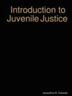Image for Introduction to the Juvenile Justice System