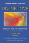 Image for DIVINE LOVE - Transforming the Soul VOL.V