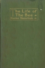Image for Life of the Bee