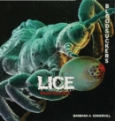 Image for Lice