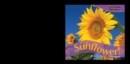 Image for It&#39;s a Sunflower!