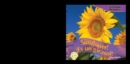 Image for It&#39;s a Sunflower! / &#39;Es un girasol!