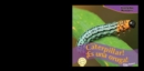 Image for It&#39;s a Caterpillar! / &#39;Es una oruga!