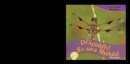 Image for It&#39;s a Dragonfly! / &#39;Es una libelula!