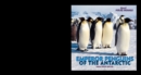 Image for Emperor Penguins of the Antarctic