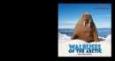 Image for Walruses of the Arctic