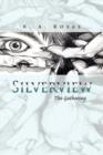 Image for Silverview