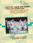 Image for Yes, There Are Names Other Than Rover!