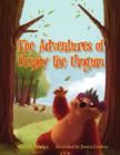 Image for The Adventures of Umphy the Umgum