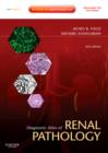 Image for Diagnostic atlas of renal pathology  : a companion to Brenner &amp; Rector&#39;s the kidney