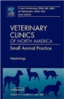 Image for Hepatology  : small animal practice : Volume 39-3