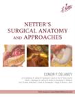 Image for Netter&#39;s Surgical Anatomy and Approaches