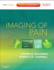 Image for Imaging of pain