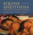 Image for Equine anesthesia: monitoring and emergency therapy