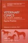 Image for Advances in Laminitis, Part I, An Issue of Veterinary Clinics: Equine Practice