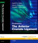 Image for The anterior cruciate ligament: reconstruction and basic science