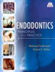 Image for Endodontics: principles and practice