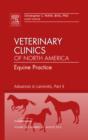 Image for Advances in Laminitis, Part II, An Issue of Veterinary Clinics: Equine Practice