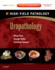 Image for Uropathology : A Volume in the High Yield Pathology Series (Expert Consult - Online and Print)