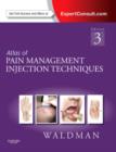 Image for Atlas of Pain Management Injection Techniques