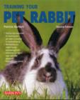 Image for Training your pet rabbit