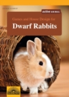 Image for Games and House Design for Dwarf Rabbits