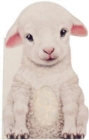 Image for Furry lamb