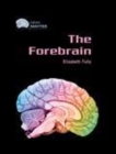 Image for The forebrain