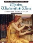 Image for The encyclopedia of witches, witchcraft, and wicca