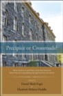 Image for Precipice or crossroads?: where America&#39;s great public universities stand and where they are going midway through their second century