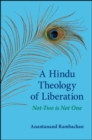 Image for Hindu Theology of Liberation, A: Not-Two Is Not One