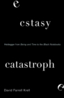 Image for Ecstasy, Catastrophe: Heidegger from Being and Time to the Black Notebooks