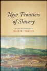 Image for New Frontiers of Slavery